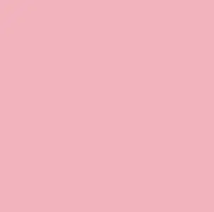 EXHIBITION CAL. 3 MIL. CARNATION PINK