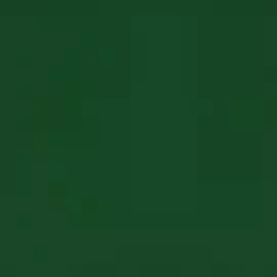 EXHIBITION CAL. 3 MIL. DARK GREEN