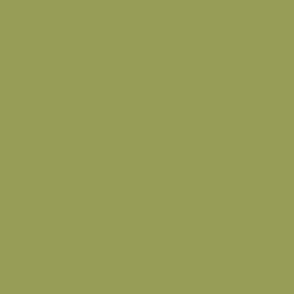 EXHIBITION CAL. 3 MIL. OLIVE