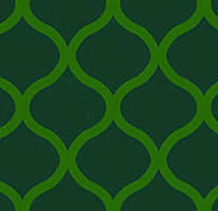 VINYLE REFLECHISSANT OBS. GRAND ANGLE VERT