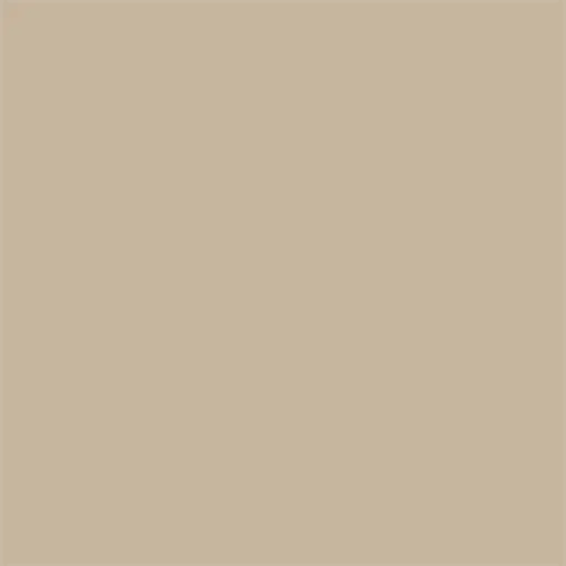[631-816] EXHIBITION CAL. 3 MIL. DARK BEIGE