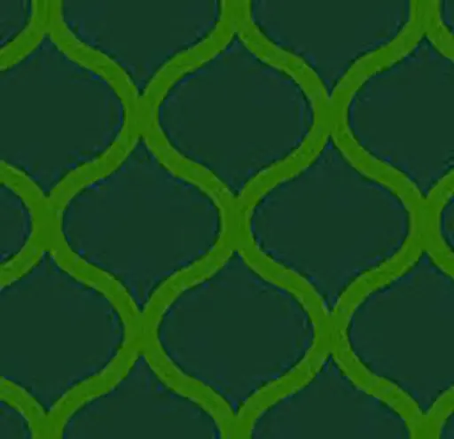 [7900-060-W36xL150] VINYLE REFLECHISSANT OBS. GRAND ANGLE VERT